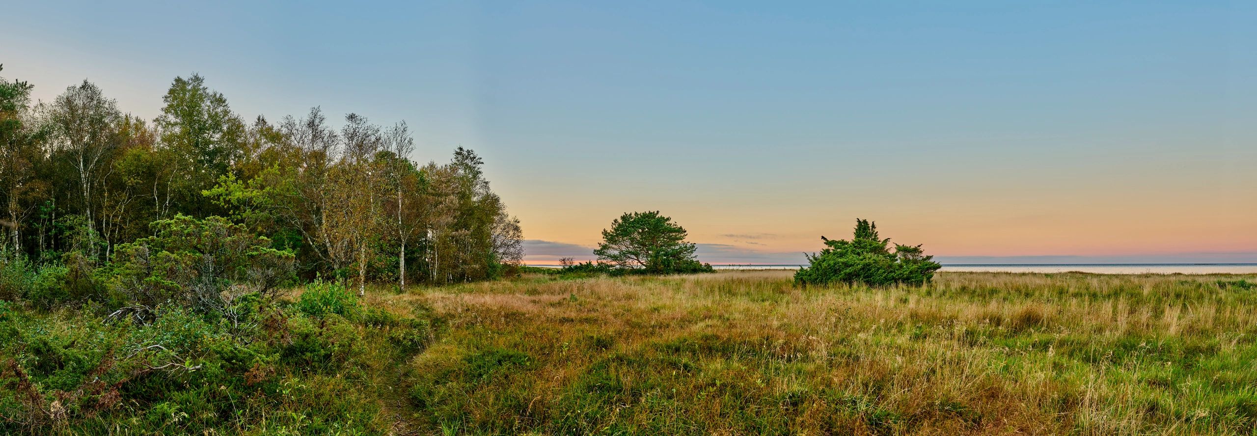 Sunrise over a peaceful meadow and woodland