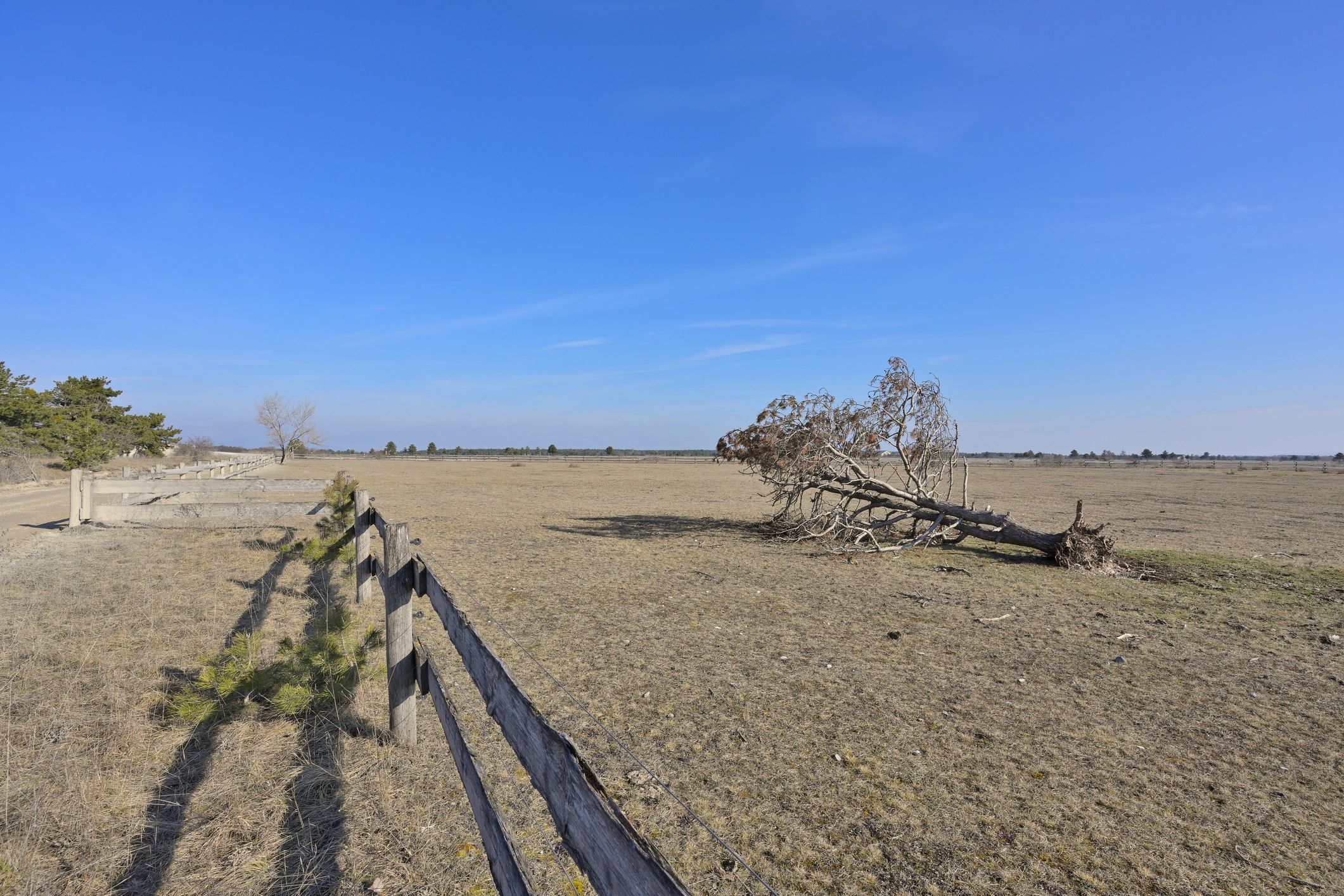 Open field under a clear blue sky
